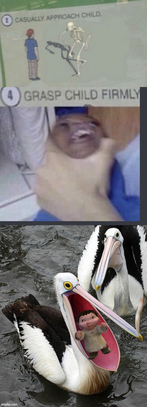 put child in pelican mouth | image tagged in casually approach child,grasp child firmly,happy pelican | made w/ Imgflip meme maker
