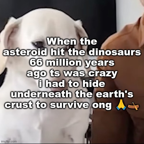 uh | When the asteroid hit the dinosaurs 66 million years ago ts was crazy i had to hide underneath the earth's crust to survive ong 🙏🛶 | image tagged in uh | made w/ Imgflip meme maker