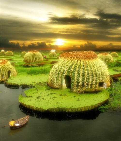 A Secure House | image tagged in houses,safe,cactus,funny,weird stuff,surrealism | made w/ Imgflip meme maker