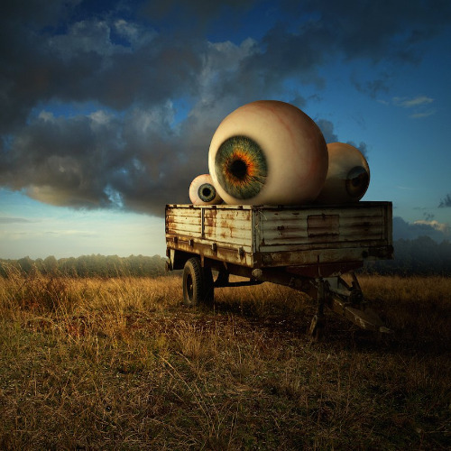 Vision Field | image tagged in vision,eyeball,funny,weird stuff,surrealism,creepy | made w/ Imgflip meme maker