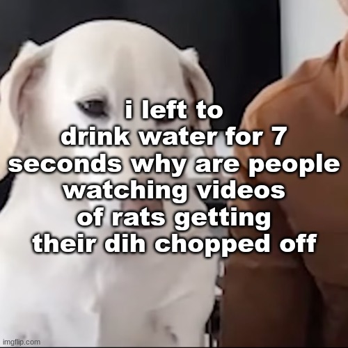 uh | i left to drink water for 7 seconds why are people watching videos of rats getting their dih chopped off | image tagged in uh | made w/ Imgflip meme maker