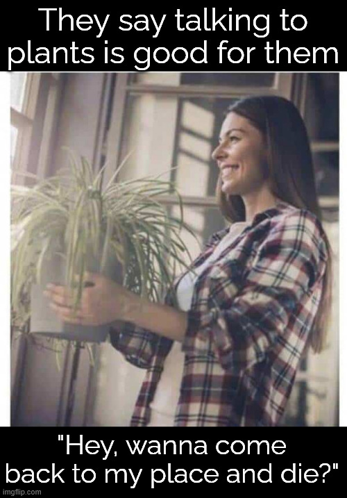 Buying house plants | They say talking to plants is good for them; "Hey, wanna come back to my place and die?" | image tagged in memes,buying house plants | made w/ Imgflip meme maker