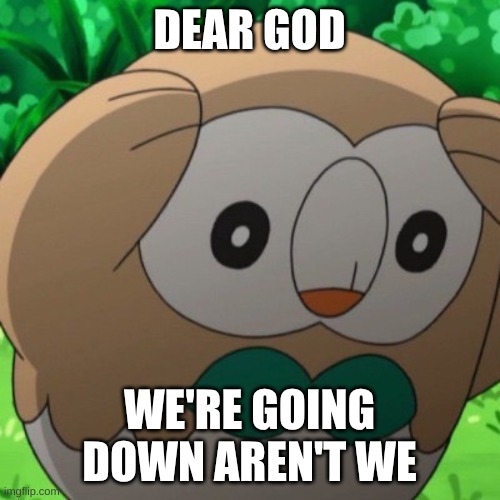 Rowlet Meme Template | DEAR GOD WE'RE GOING DOWN AREN'T WE | image tagged in rowlet meme template | made w/ Imgflip meme maker