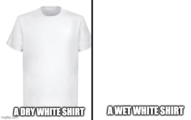 Its almost as if, it becomes invisible | A WET WHITE SHIRT; A DRY WHITE SHIRT | image tagged in funny,fun,memes,relatable,humor,t-shirt | made w/ Imgflip meme maker
