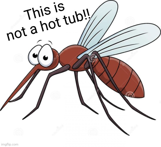 cute mosquito | This is not a hot tub!! | image tagged in cute mosquito | made w/ Imgflip meme maker