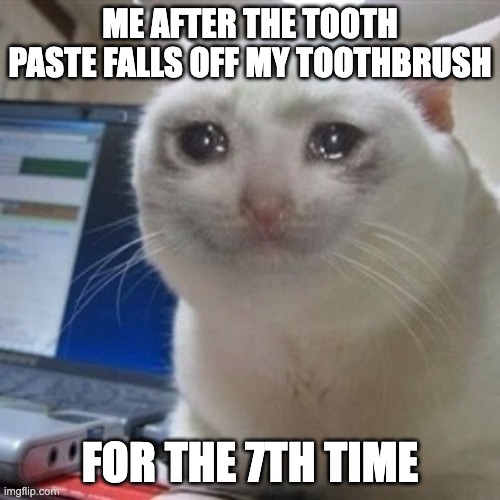 For real | ME AFTER THE TOOTH PASTE FALLS OFF MY TOOTHBRUSH; FOR THE 7TH TIME | image tagged in crying cat,memes,funny,fun,relatable,depressed cat | made w/ Imgflip meme maker
