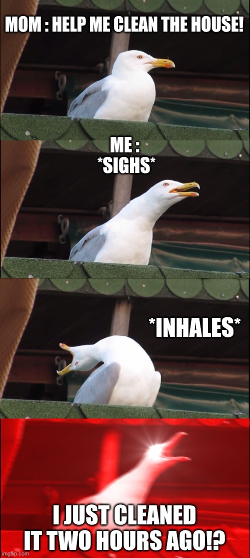 Inhaling Seagull | MOM : HELP ME CLEAN THE HOUSE! ME :
 *SIGHS*; *INHALES*; I JUST CLEANED IT TWO HOURS AGO!? | image tagged in memes,inhaling seagull | made w/ Imgflip meme maker