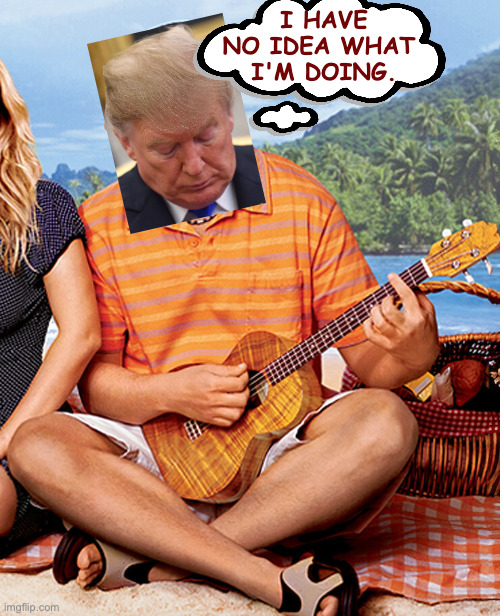 I HAVE
NO IDEA WHAT 
I'M DOING. | made w/ Imgflip meme maker