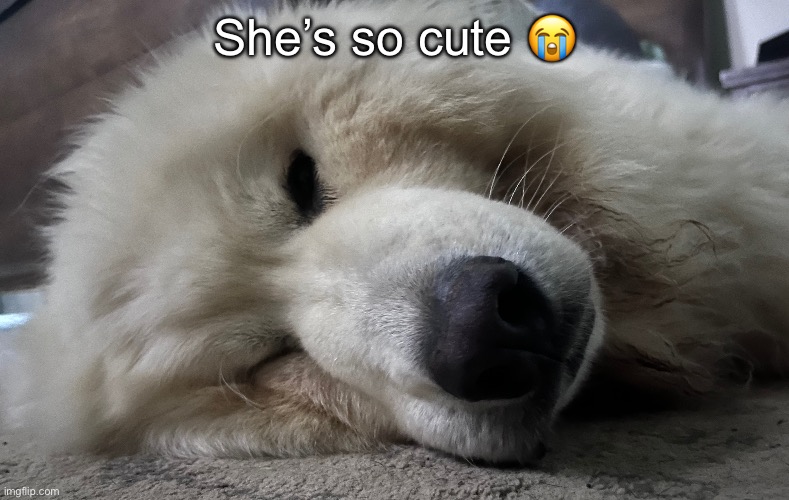 I love Kiva | She’s so cute 😭 | made w/ Imgflip meme maker