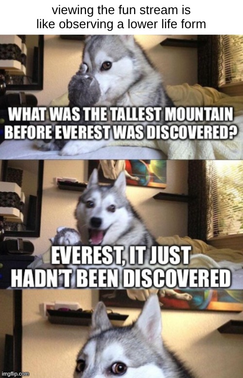 viewing the fun stream is like observing a lower life form | made w/ Imgflip meme maker