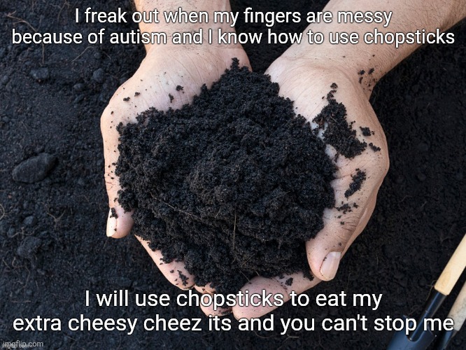 LOAM | I freak out when my fingers are messy because of autism and I know how to use chopsticks; I will use chopsticks to eat my extra cheesy cheez its and you can't stop me | image tagged in loam | made w/ Imgflip meme maker