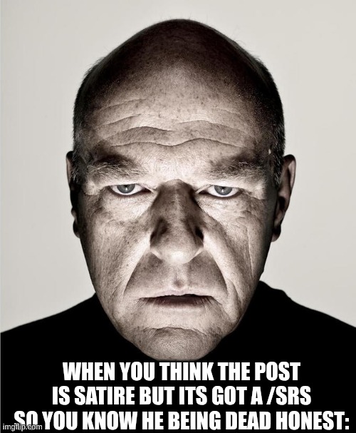 s | WHEN YOU THINK THE POST IS SATIRE BUT ITS GOT A /SRS SO YOU KNOW HE BEING DEAD HONEST: | made w/ Imgflip meme maker