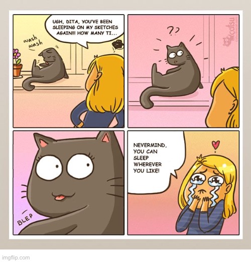 All it took was just one look… | image tagged in cats,get off my stuff,that look,comics | made w/ Imgflip meme maker
