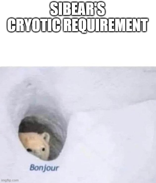 SIBEAR'S CRYOTIC REQUIREMENT | image tagged in bonjour | made w/ Imgflip meme maker