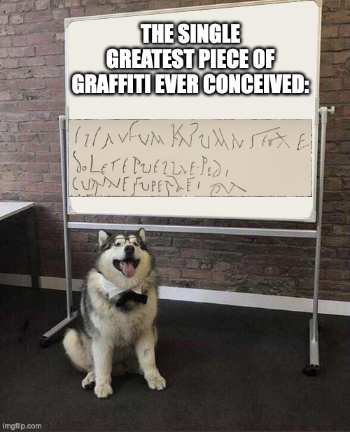 Based pompeii (sorry Andrew Tate fans, the romans were gay as f*ck) | THE SINGLE GREATEST PIECE OF GRAFFITI EVER CONCEIVED: | image tagged in professor doggo,lgbtq,gay,rome,history,graffiti | made w/ Imgflip meme maker