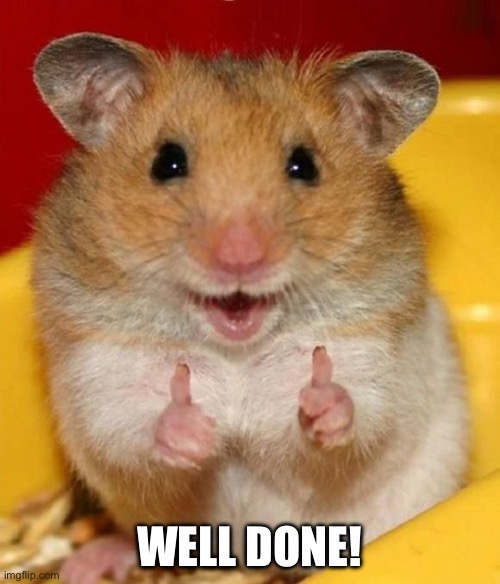 Well done ! | WELL DONE! | image tagged in well done | made w/ Imgflip meme maker