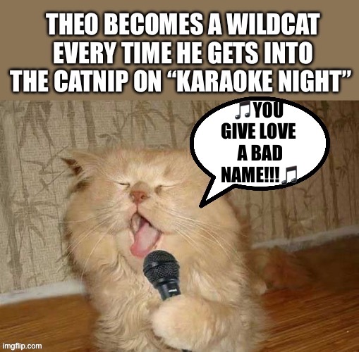 It’s a sight (and sound) to behold! | 🎵YOU 
GIVE LOVE 
A BAD
NAME!!!🎵 | image tagged in cats,karaoke,catnip,singing | made w/ Imgflip meme maker
