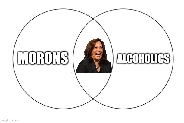 venn diagram | ALCOHOLICS; MORONS | image tagged in venn diagram | made w/ Imgflip meme maker