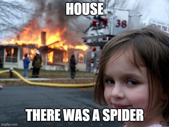 good meme | HOUSE; THERE WAS A SPIDER | image tagged in memes,disaster girl,front page plz | made w/ Imgflip meme maker