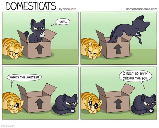 Thinking outside the box… | image tagged in cats,domesticats,think outside the box | made w/ Imgflip meme maker