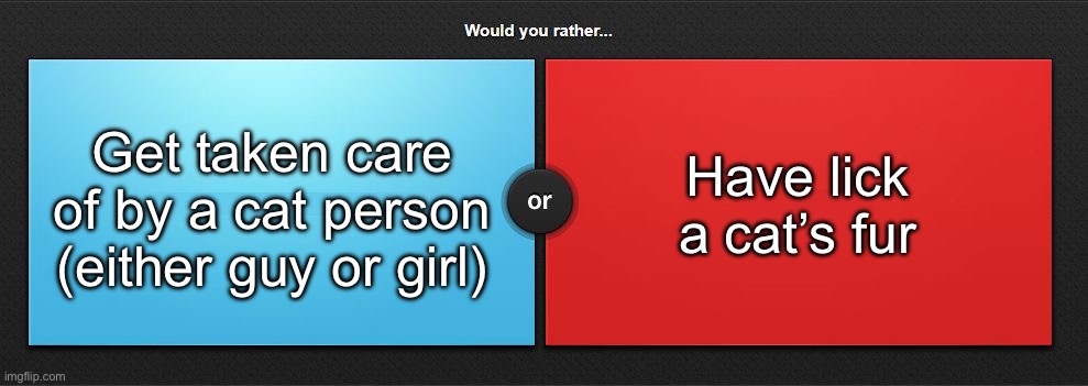 Would you rather | Get taken care of by a cat person (either guy or girl); Have lick a cat’s fur | image tagged in would you rather,msmg | made w/ Imgflip meme maker