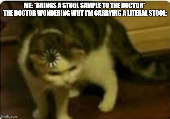 I may have misunderstood | ME: *BRINGS A STOOL SAMPLE TO THE DOCTOR* 
THE DOCTOR WONDERING WHY I'M CARRYING A LITERAL STOOL: | image tagged in buffering cat,memes,doctors | made w/ Imgflip meme maker