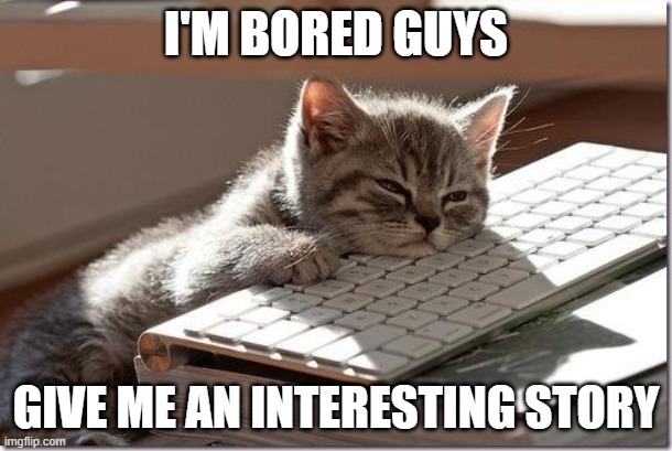 Bored Keyboard Cat | I'M BORED GUYS; GIVE ME AN INTERESTING STORY | image tagged in bored keyboard cat | made w/ Imgflip meme maker