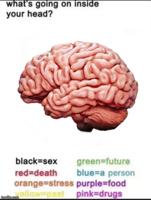 What's going on inside your head 3D Version Blank Meme Template