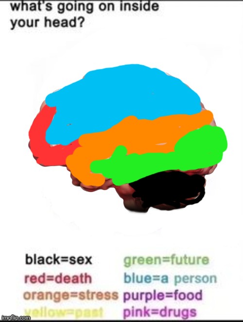 What's going on inside your head 3D Version | image tagged in what's going on inside your head 3d version | made w/ Imgflip meme maker