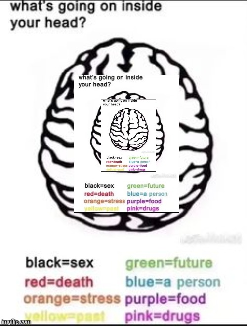 What's going on inside your head? | image tagged in what's going on inside your head | made w/ Imgflip meme maker