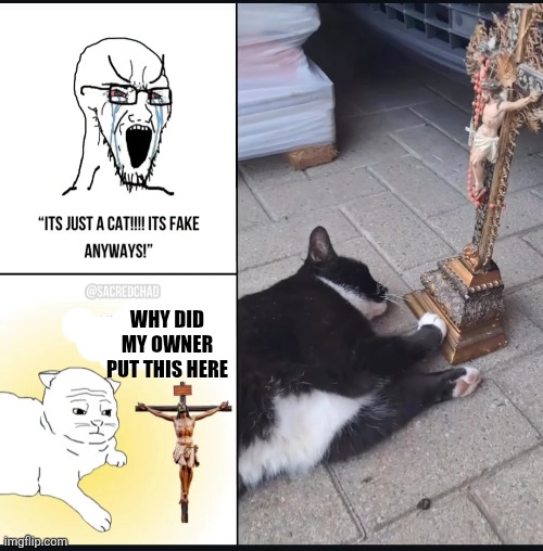 badly crompt | WHY DID MY OWNER PUT THIS HERE | image tagged in crompt,lmao,lol,the,instagram | made w/ Imgflip meme maker