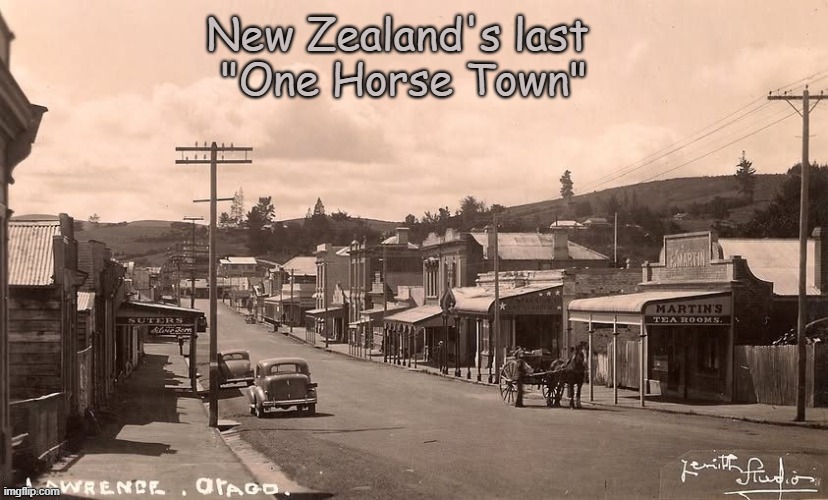 New Zealand | New Zealand's last 
"One Horse Town" | image tagged in new zealand,horse,sedate west | made w/ Imgflip meme maker