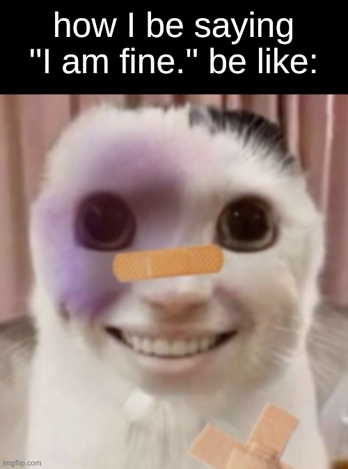 trauma cat | how I be saying ''I am fine.'' be like: | image tagged in smiling cat | made w/ Imgflip meme maker