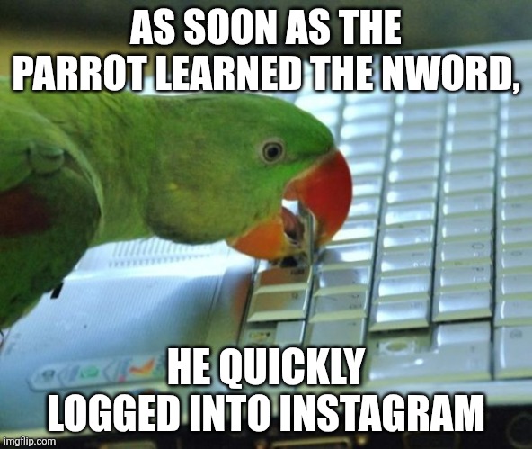 Parrot pc | AS SOON AS THE PARROT LEARNED THE NWORD, HE QUICKLY LOGGED INTO INSTAGRAM | image tagged in parrot pc | made w/ Imgflip meme maker