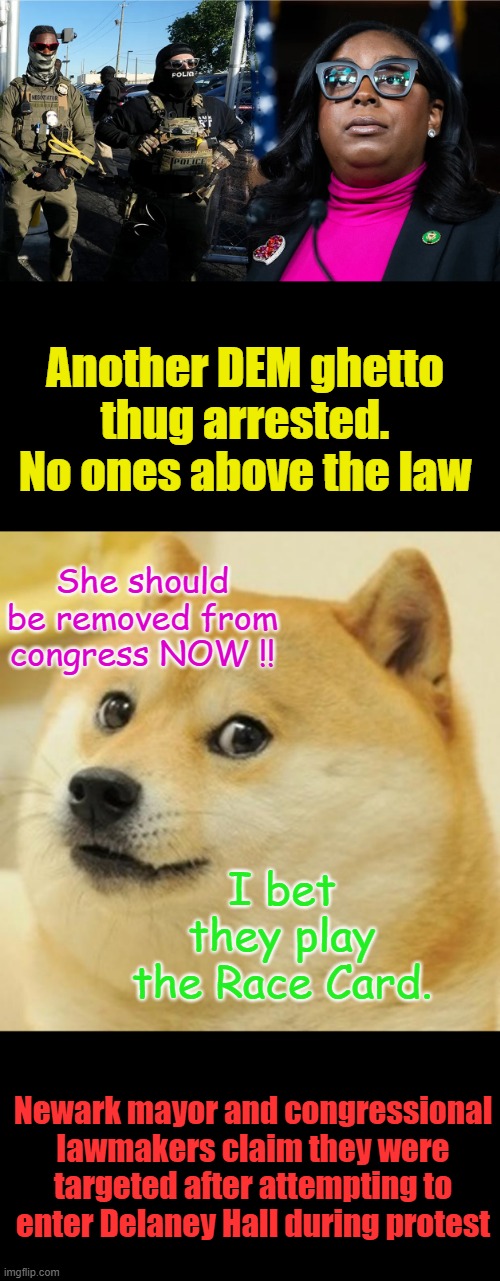 Arrest all of the criminals in DC | Another DEM ghetto thug arrested. No ones above the law; She should be removed from congress NOW !! I bet they play the Race Card. Newark mayor and congressional lawmakers claim they were targeted after attempting to enter Delaney Hall during protest | image tagged in memes,doge | made w/ Imgflip meme maker