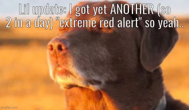 I got it at like 1 hour of interval, might get a third one or smt) | Lil update: I got yet ANOTHER (so 2 in a day) "extreme red alert" so yeah.. | image tagged in cooked dog | made w/ Imgflip meme maker