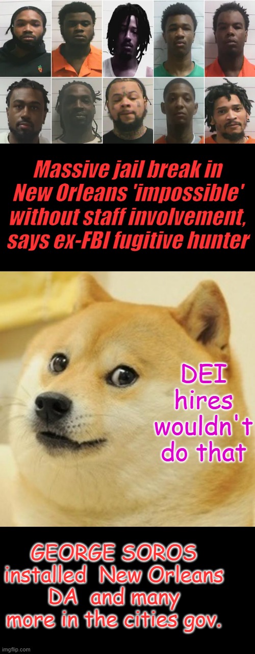 Massive jail break in New Orleans 'impossible' without staff involvement, says ex-FBI fugitive hunter; DEI hires wouldn't do that; GEORGE SOROS installed  New Orleans DA  and many more in the cities gov. | image tagged in memes,doge | made w/ Imgflip meme maker