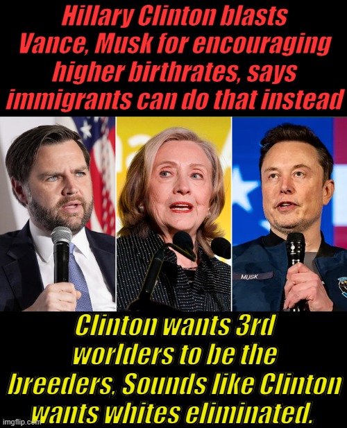 DEMS promote white genocide | Hillary Clinton blasts Vance, Musk for encouraging higher birthrates, says immigrants can do that instead; Clinton wants 3rd worlders to be the breeders, Sounds like Clinton wants whites eliminated. | made w/ Imgflip meme maker