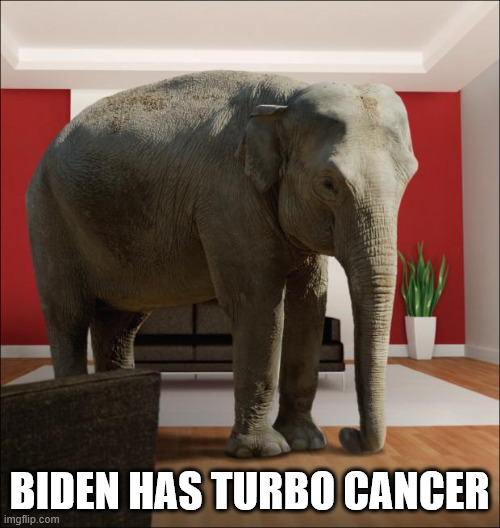 Elephant In The Room | BIDEN HAS TURBO CANCER | image tagged in elephant in the room | made w/ Imgflip meme maker