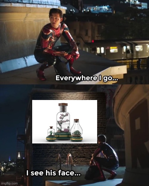 Why Do I Always See This Product Idea | image tagged in everywhere i go i see his face,lego,ideas,legoideas | made w/ Imgflip meme maker