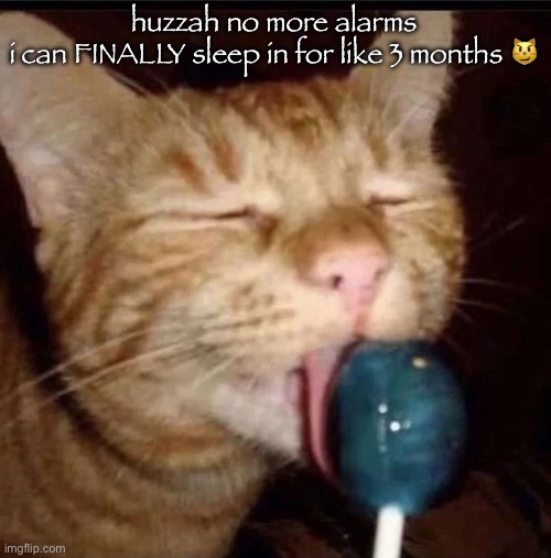 silly goober 2 | huzzah no more alarms
i can FINALLY sleep in for like 3 months 😼 | image tagged in silly goober 2 | made w/ Imgflip meme maker