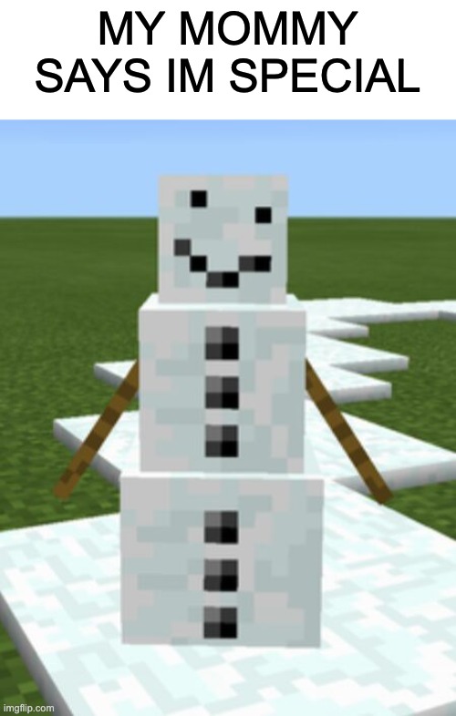 snow golem without pumpkin | MY MOMMY SAYS IM SPECIAL | image tagged in snow golem without pumpkin,memes,minecraft,funny,snow golem,wtf | made w/ Imgflip meme maker