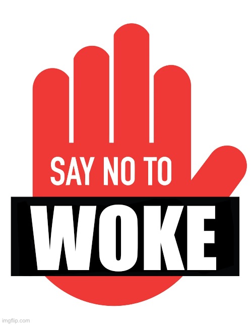 WOKE | made w/ Imgflip meme maker