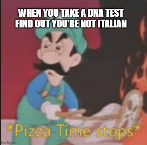 pizza time is gone | WHEN YOU TAKE A DNA TEST FIND OUT YOU'RE NOT ITALIAN | image tagged in pizza time stops,dna | made w/ Imgflip meme maker