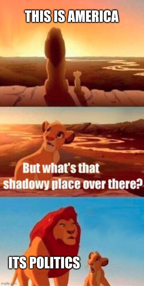 true | THIS IS AMERICA; ITS POLITICS | image tagged in memes,simba shadowy place | made w/ Imgflip meme maker