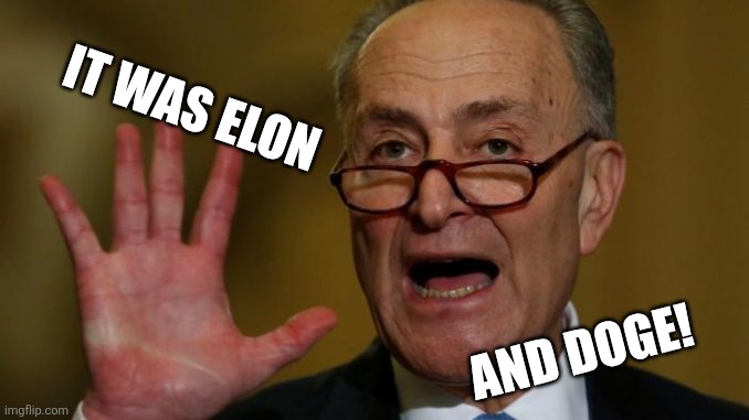 Chuck Schumer | IT WAS ELON AND DOGE! | image tagged in chuck schumer | made w/ Imgflip meme maker