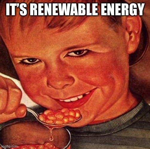 BEANS | IT’S RENEWABLE ENERGY | image tagged in beans | made w/ Imgflip meme maker