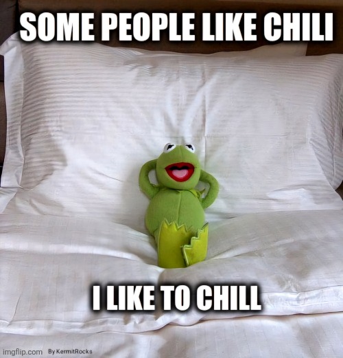 KermitRocks | image tagged in memes | made w/ Imgflip meme maker