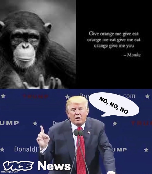 "GIVE ME YOU!" - Nim Chimpsky | image tagged in monkey,chimpanzee,donald trump | made w/ Imgflip meme maker