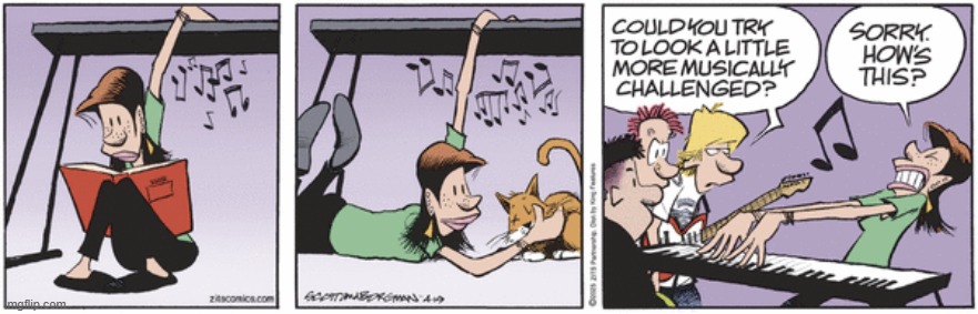 Zits | image tagged in comics | made w/ Imgflip meme maker